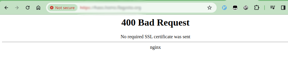 Failed client authentication on Nginx